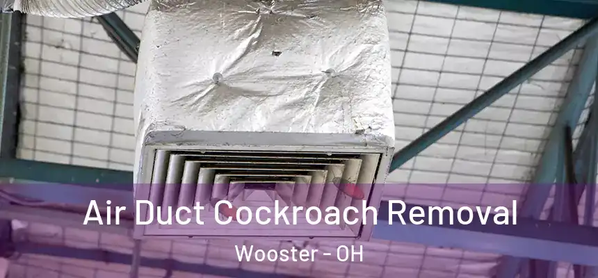  Air Duct Cockroach Removal Wooster - OH