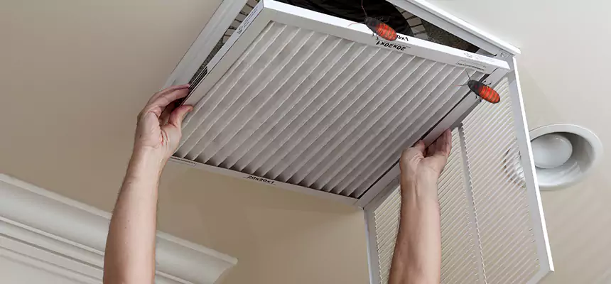 Preventive Cockroach-Proofing for Ducts in Wooster