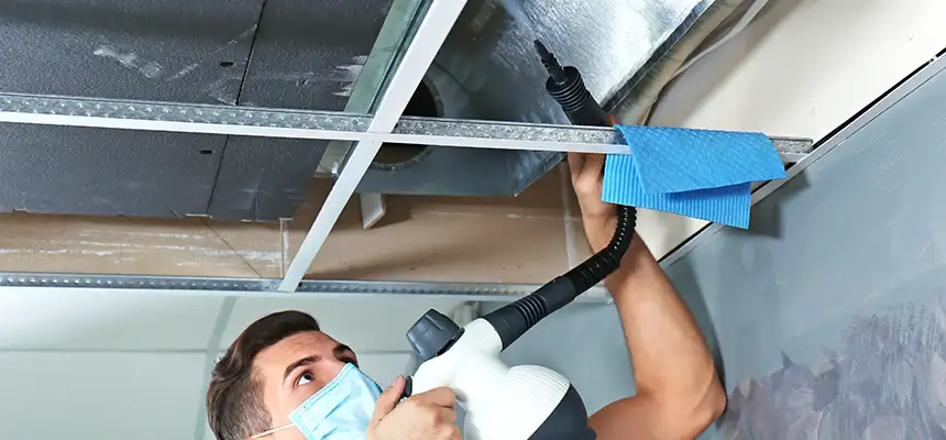 Our Air Duct Rodent Removal Services in Wooster, OH