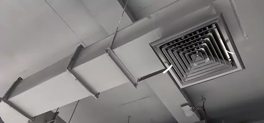 Our Pest Removal From Ducts Services in Wooster, OH