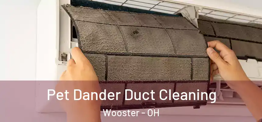  Pet Dander Duct Cleaning Wooster - OH