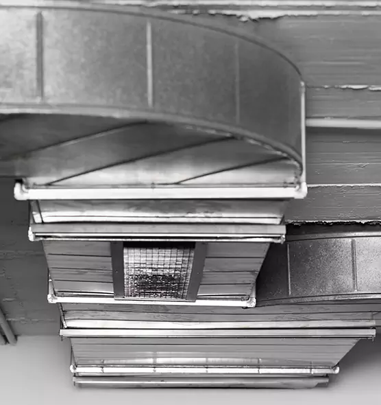 Professional Air Duct Pest Removal in Wooster, OH