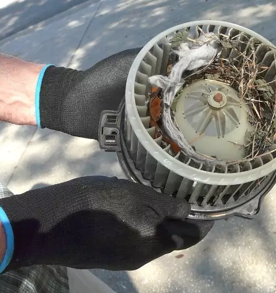 About Air Duct Rat Removal in Wooster, OH