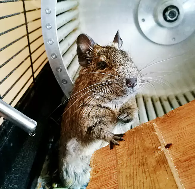 Why Homeowners & Businesses Trust Us Wooster, OH